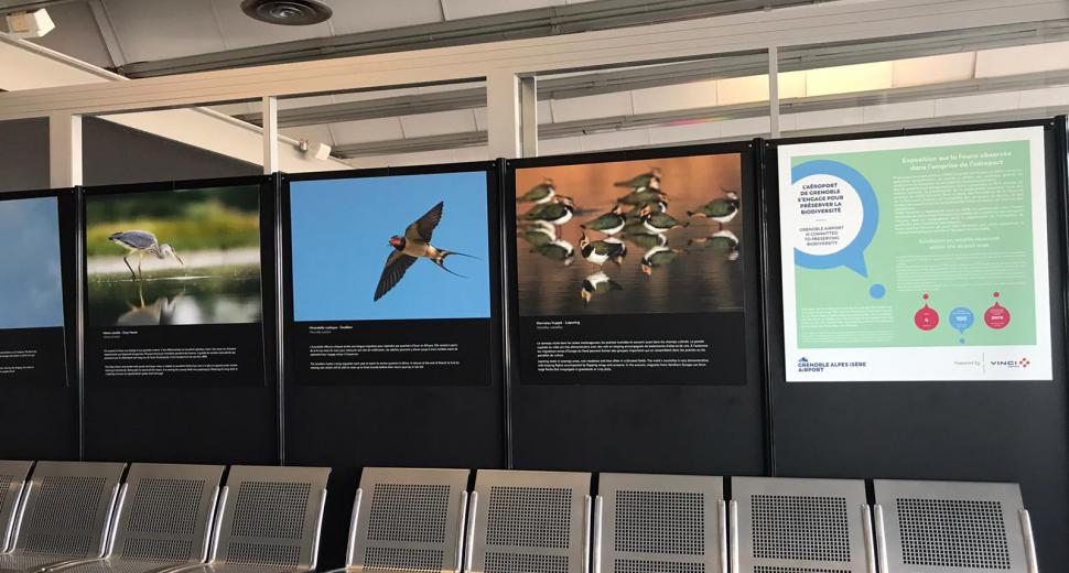 Biodiversity exhibition at Grenoble Alpes Isère
