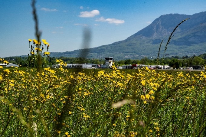 Biodiversité